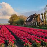 Country Life Comfortable Holiday Residence