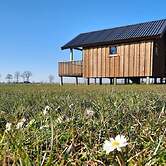 Lodge in Drenthe With Scenic Veranda