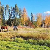 8 Person Holiday Home in Burea-by Traum