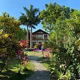 Palms Oasis Montanita