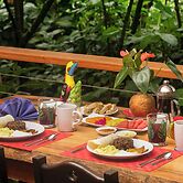 Mi casa es su casa B&B