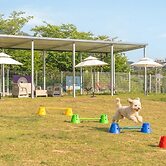 Yeosu Canada meo Village pet Pension