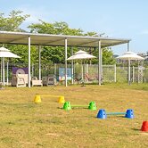 Yeosu Canada meo Village pet Pension