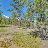 'mccall Creekside Cabin' Secluded Buena Vista Gem!