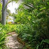 Bougainvillea Retreat