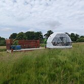 Berry Dome