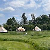 Walltree House Glamping - Cozy Glamping Experience