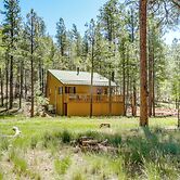 Hike & Atv: Secluded Happy Jack Cabin w/ Deck