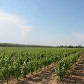 Domaine La Yole Wine Resort