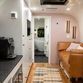 Creekside Fern in Pisgah Forest