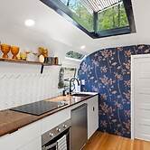 Silver Fern in Pisgah Forest