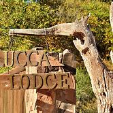 Lucca Lodge