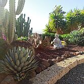 Finca Aurora - Cozy 1-bed Apartment