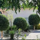 Apartment Stella Casa Bruno