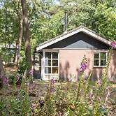 Bungalow in Park De Peel - Car-free Retreat