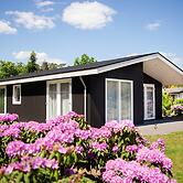 Chalet in Netherlands by Scenic Pond