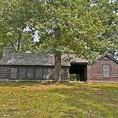 Pin Oak