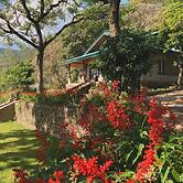 Bawlana Estate - Kandy