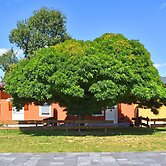 Ferienwohnung am Oase am Vilzsee