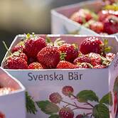 6 Person Holiday Home in Mellbystrand