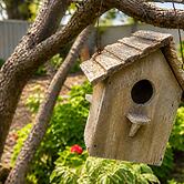 Relax and Unwind at Otters Retreat