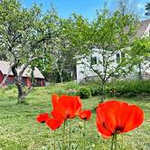 4 Person Holiday Home in Asarum