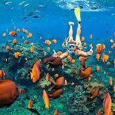 Kapalua Bay Villas 35g2