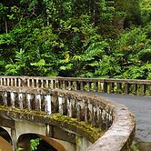 Kapalua Golf Villas 15t5