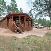 Old County Pine