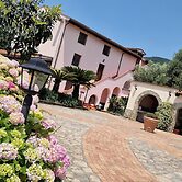 Tenuta D'Arienzo
