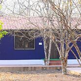 Matoshree green stay sariska