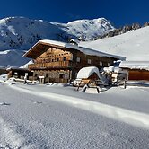 Alpine Pasture in the Zillertal Mountains