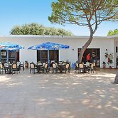 Bungalow in a Resort in Lido del Sole With Terrace