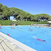 Apartment in Baia Domzia Near the sea