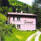 Cosy Apartment on Forellenhof, Zorn Valley, Dabo