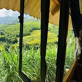 Hmong Hillside House