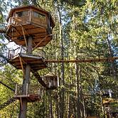 Out 'N' About Treehouse Treesort