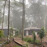 Koala Cabins Mapleton