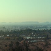 Tree of Life Ramvilas Bandhavgarh