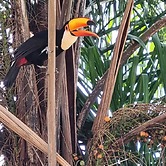 Casa dos Coqueiros - Cama & Café