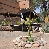 Bivouac Sous les palmiers bleus