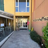 Vele Storiche Pisane