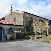Il Tanaceto