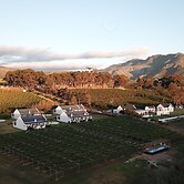 Endless Vineyards at Wildekrans Wine Estate