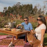 Hotel Bangalôs da Serra