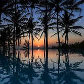 Turtle Bay