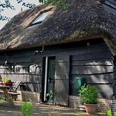 Nice Holiday Home in Ruinerwold With Garden