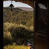 Casale I Cirillo: Primula & Iberide Florida