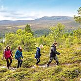 12 Person Holiday Home in Idre