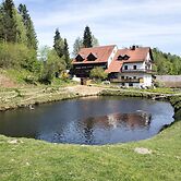 Alluring Apartment in Schonsee in the Forest